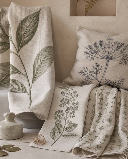 Linen throw, cushion and runner printed with drawn botanical studies — leaves, umbels and flowering stems at three different scales.